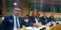 31. januar 2017. Delegacija Narodne skupštine na Interparlamentarnoj konferenciji „Lokalne i regionalne vlasti u zemljama regiona u procesu proširenja i regionalna politika EU“